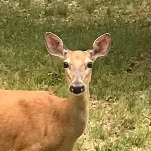 Meet your Posher, Kathy